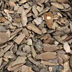 Over 230 Prehistoric Stone Points, many labeled. Provenance: Henry F. Metcalf Museum, Tunkhannock, Pennsylvania. (Lot 129, Estimate $250-$350)